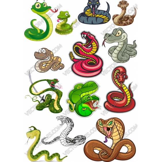 Snake bundle SVG clipart