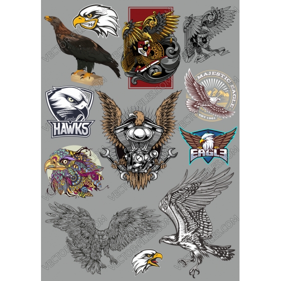 Eagles bundle SVG clipart