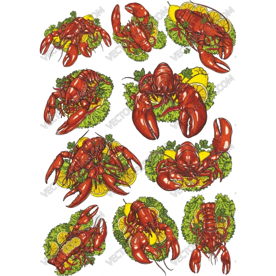 Lobster bundle SVG clipart