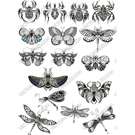 Original insect bundle SVG clipart