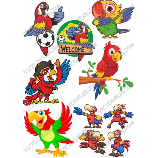 Parots bundle SVG clipart