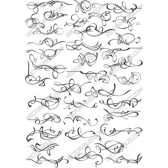 Scroll ornament bundle SVG clipart